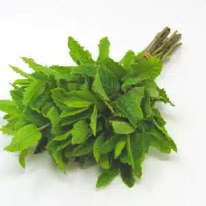 نعنع طازج 1 ضمة منشأ إسباني