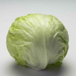 خس أيسبيرج قطعة 1